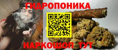 трава Северобайкальск