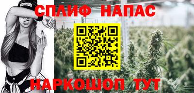 трава Северобайкальск