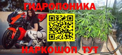 трава Северобайкальск